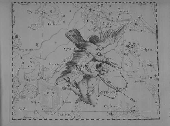 aguila.jpg