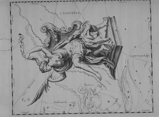 cassiopea.jpg