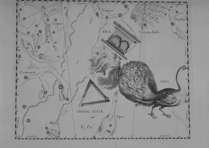 triangleaustral.jpg