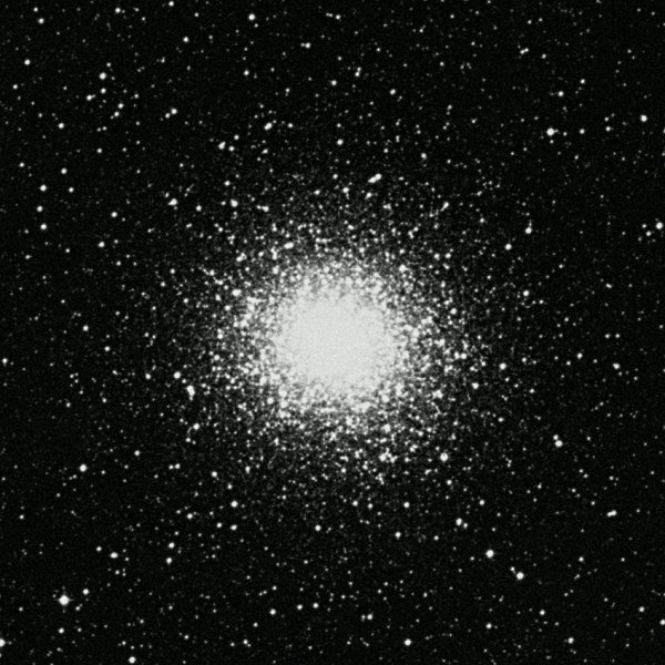 m14.jpg