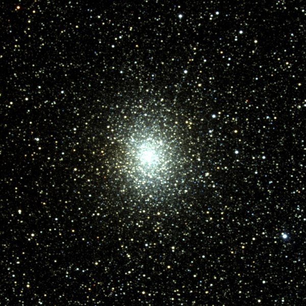 m19.jpg