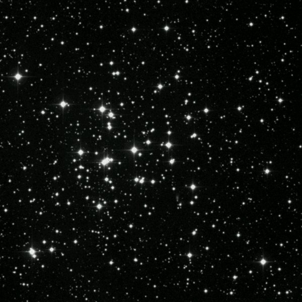 m36.jpg