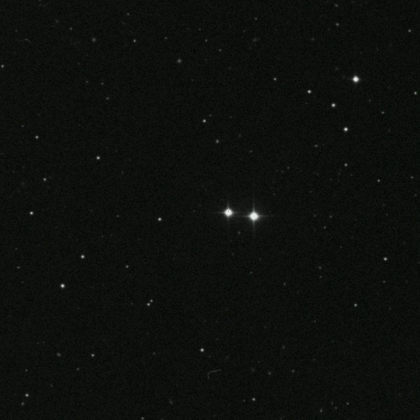 m40.jpg
