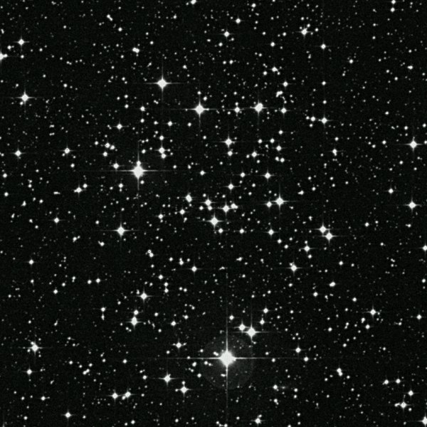 m50.jpg