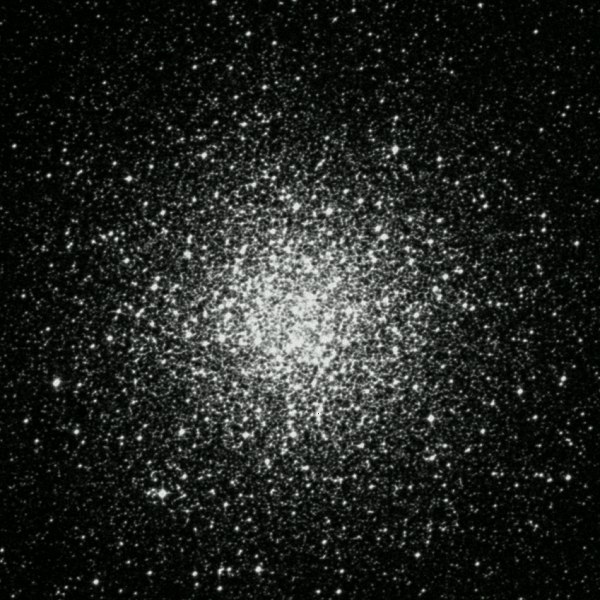 m55.jpg