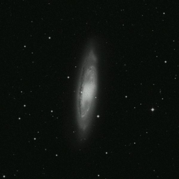 m65.jpg