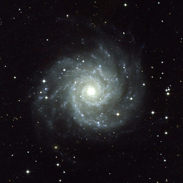 m74.jpg