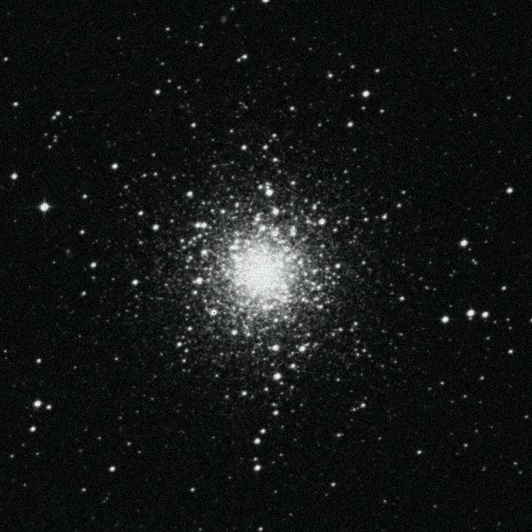 m79.jpg