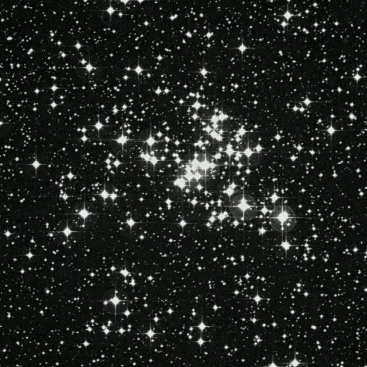 m93.jpg