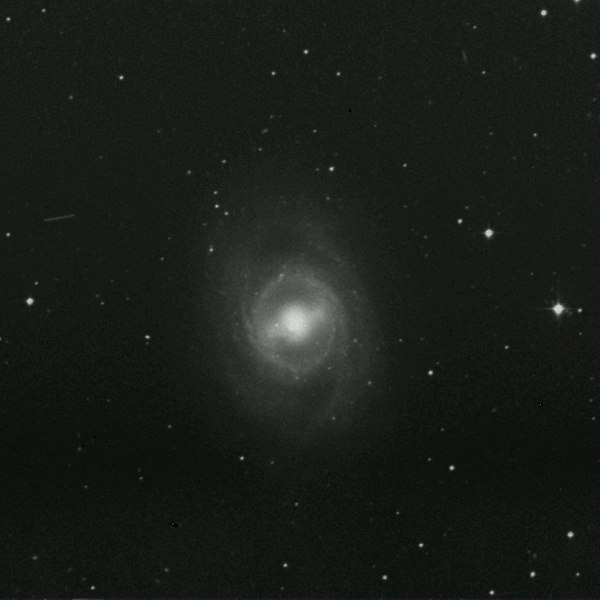 m95.jpg