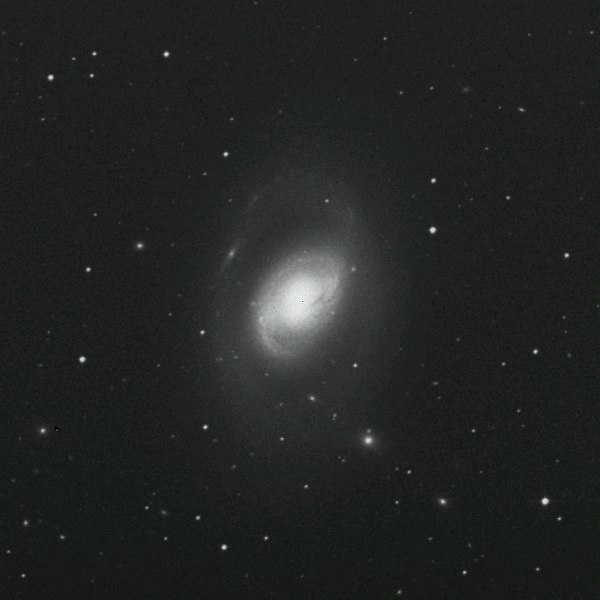 m96.jpg