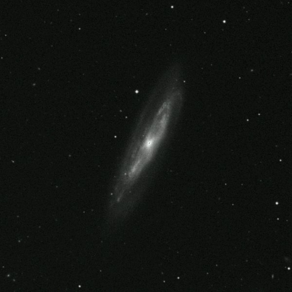 m98.jpg