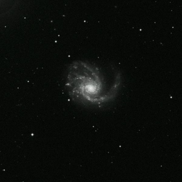 m99.jpg