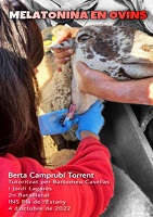 2023_t_melatonina_ovins_berta_camprubi.jpg